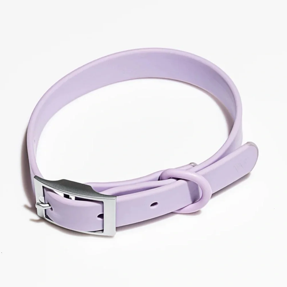 Wild One Dog Collar - S (8-12